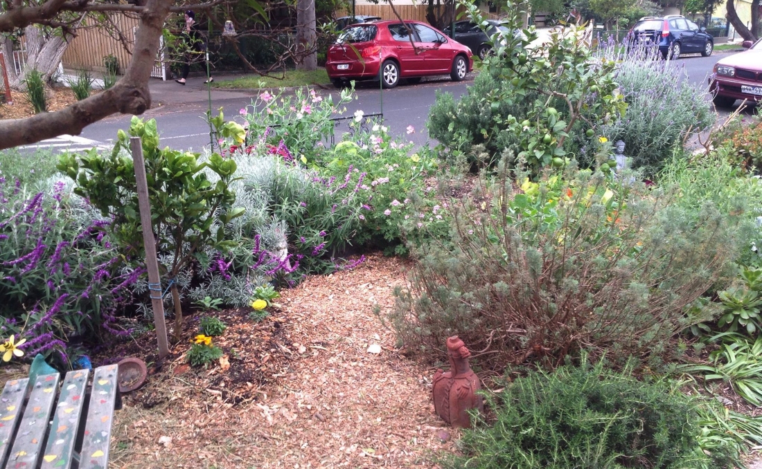 Victoria Walks story about Brunswick residents making walking better. Photo: Friends of Edward Street post October 2016